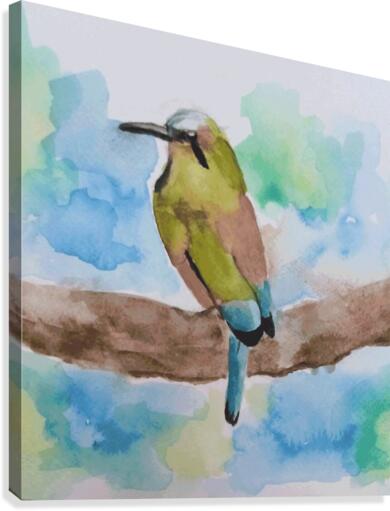 sparrow  Canvas Print