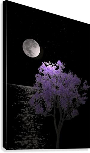 91b Canvas Print