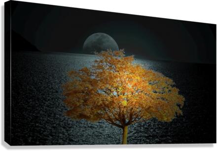hhhh Canvas Print