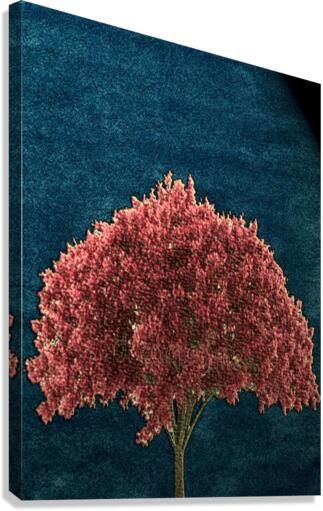 redtree Canvas Print