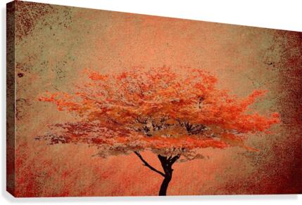 reeed Canvas Print