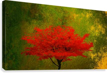 BA100 Canvas Print