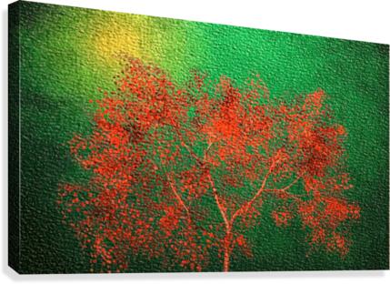 images  9  Canvas Print