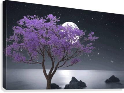 1050 Canvas Print
