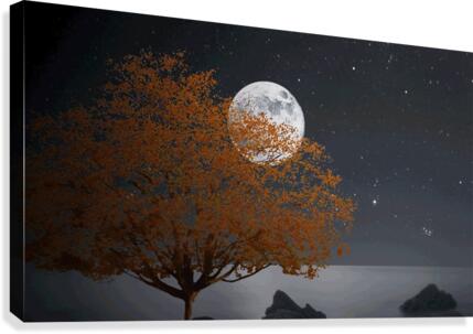 1055 Canvas Print