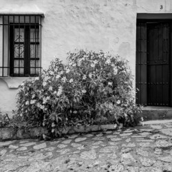 Grazalema Street 02
