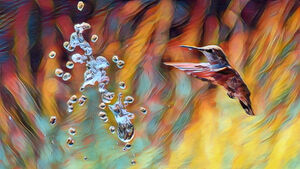 HummingBirdH20