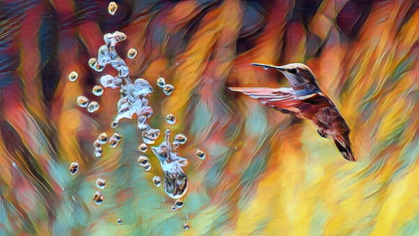 HummingBirdH20 Print