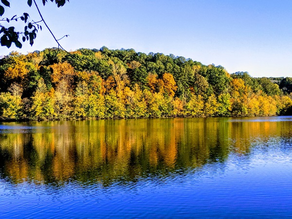 Mulberry Lake Fall Dacula GA by MJacobs