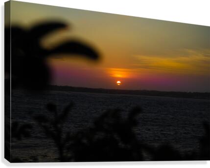 Palm Tree Sunset Canvas Print