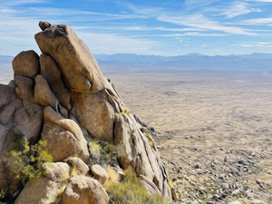 Falcons Roost