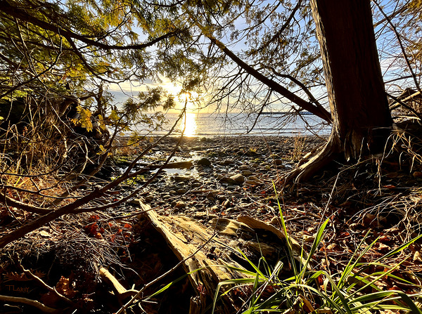 Peshawbestown 02  Print