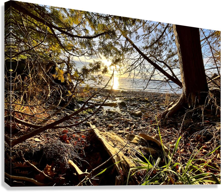 Peshawbestown 02  Canvas Print