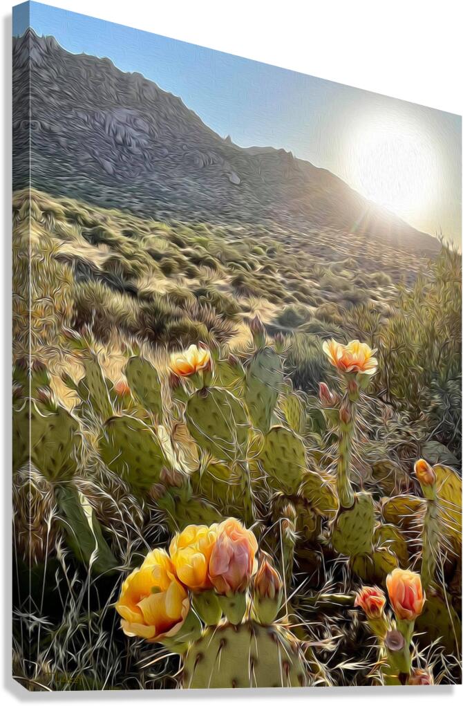 Evening Bliss  Canvas Print