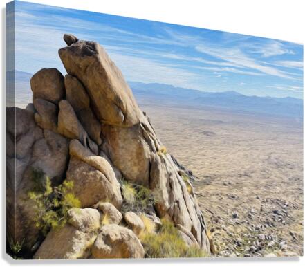 Falcons Roost Canvas Print