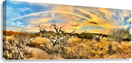 Monsoon Magic Canvas Print
