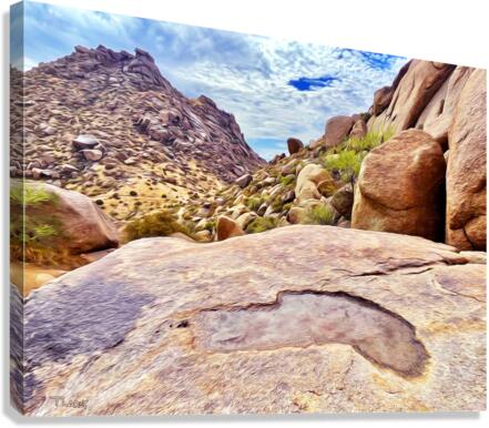 Desert Waterpool  Canvas Print