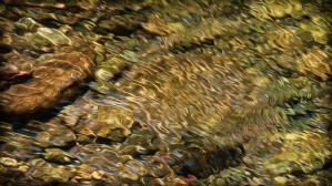 Liquidity