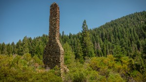Cabin Gone Missing