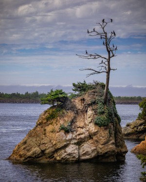 Oregon Coast 2