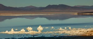 Mono Lake Tufa in Blue
