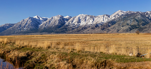 801A4625 Pano 4
