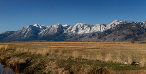 801A4625 Pano