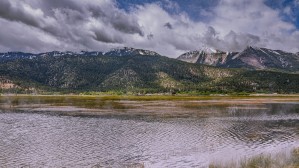 Misty Washoe Valley
