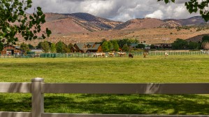 Horse Pasture 