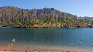 Whiskeytown Lake fire damage