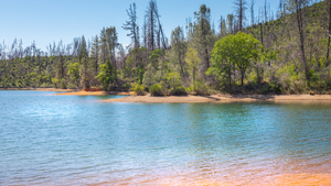 Whiskeytown Beachfront