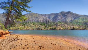 Whiskeytown Coming Back