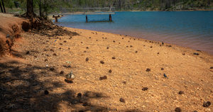 Duck Watch at Whiskeytown 