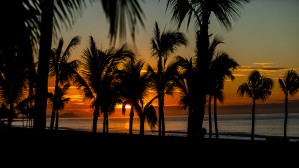 Cabo Sunrise