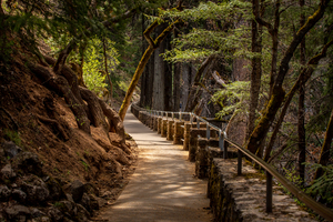 Burney Falls Walk 2