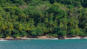 Costa Rica Beach w- more water