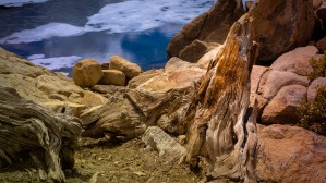 Still Standing with Colors