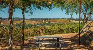 Open Table