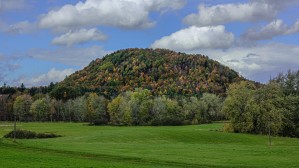Tree Covered Hill