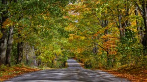 Fall Colors over a Country Road