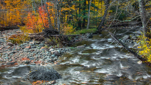 A Second River