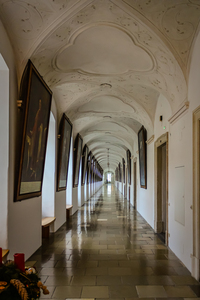 The Walk 