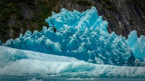 Prickely Iceburg