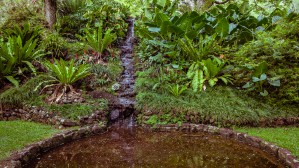 Soothing Pond