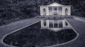 Reflections in Black and White