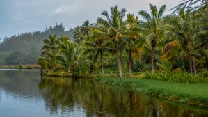 Lagoon