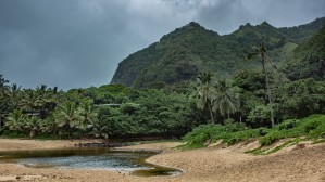 Northcoast Pond Kauai