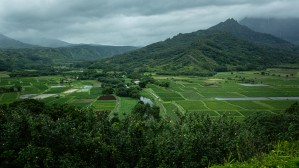 Kauai Green Valley