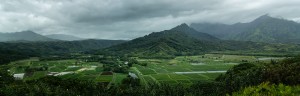 Kauai Green Valley Pano
