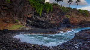 Cove Wave